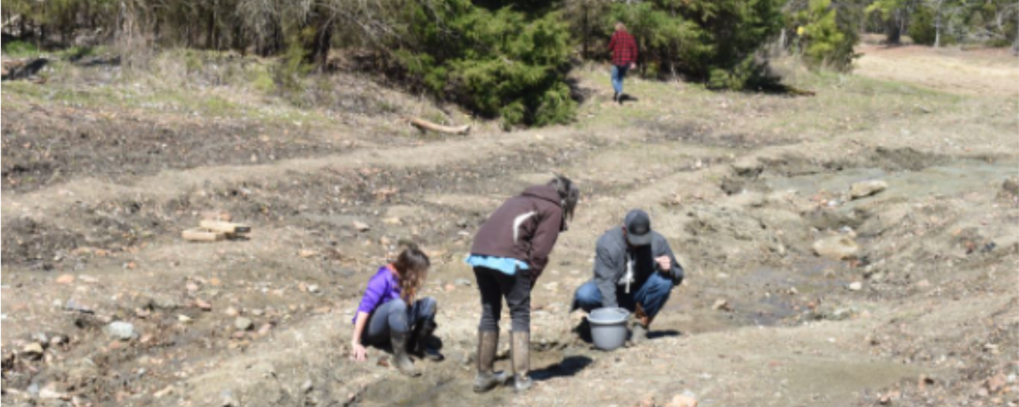 Ecofriendly solutions for take home containers Arkansas State Parks